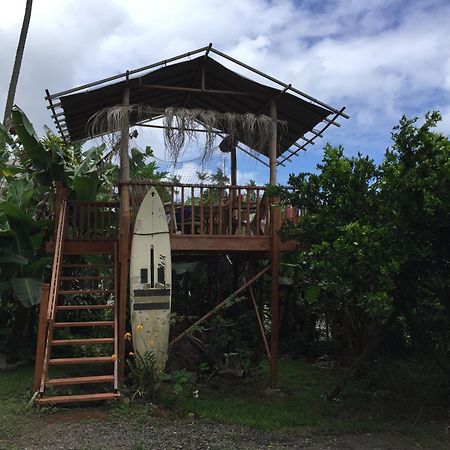 Wild Ginger Inn Hotel & Hostel Hilo Exterior foto