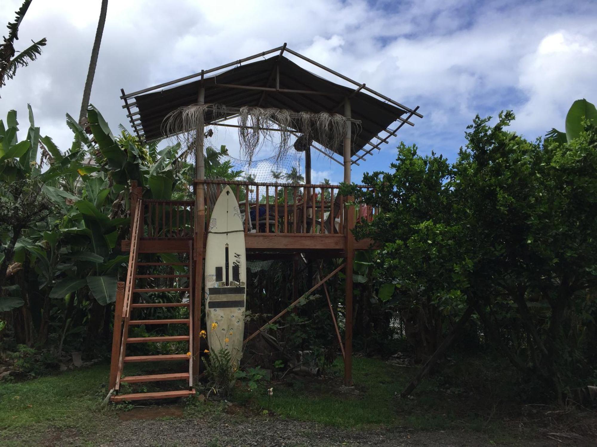 Wild Ginger Inn Hotel & Hostel Hilo Exterior foto