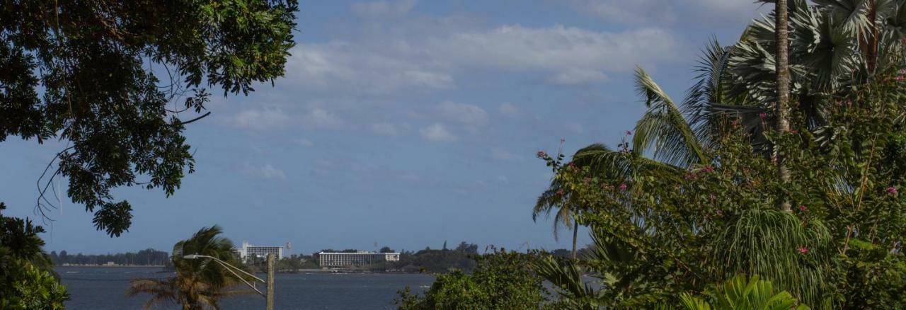 Wild Ginger Inn Hotel & Hostel Hilo Exterior foto