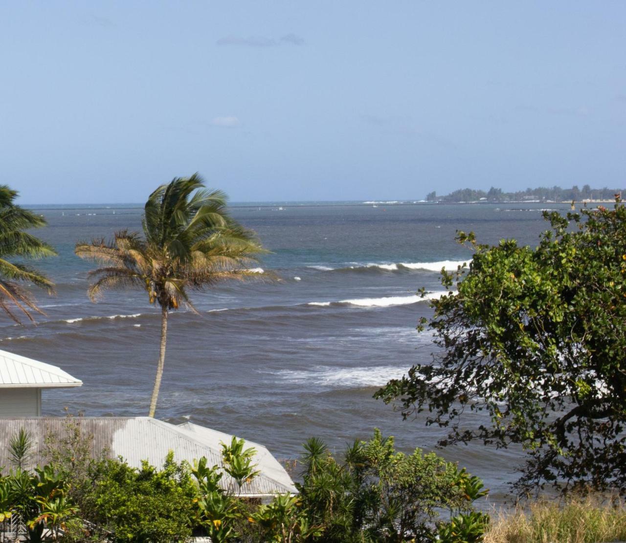 Wild Ginger Inn Hotel & Hostel Hilo Exterior foto